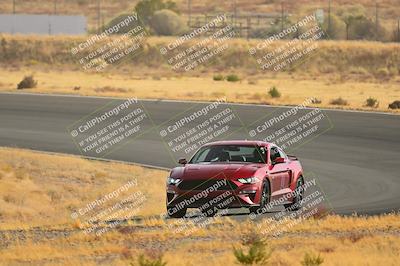 media/Dec-14-2024-Speed Ventures (Sat) [[9e1eaa7b20]]/Purple/Turn 2/